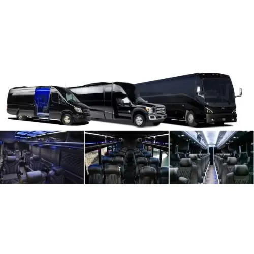 Orlando party bus fleet lineup featuring black sprinter vans, shuttle buses, and luxury coach interiors