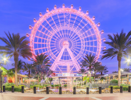 Orlando City Tours: A Guide to the City’s Best Places and Private Transportation