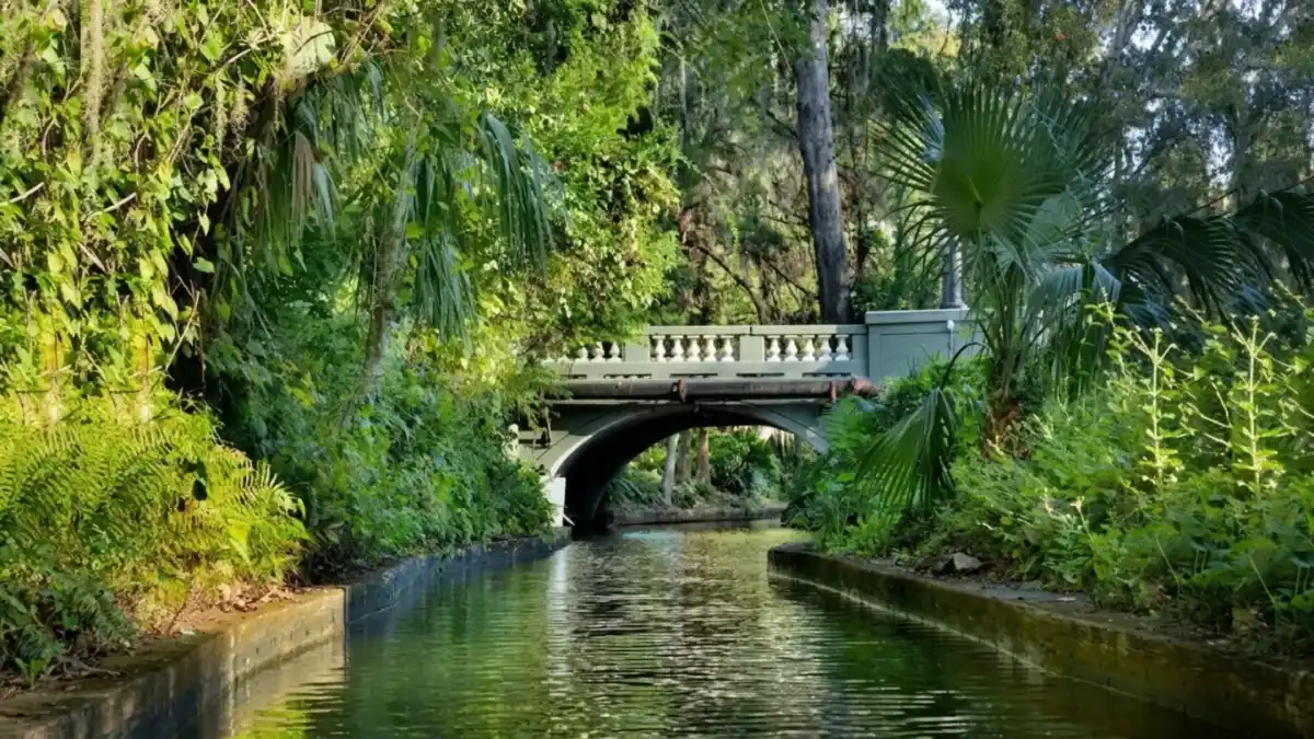 canal with stone bridge through lush tropical forest